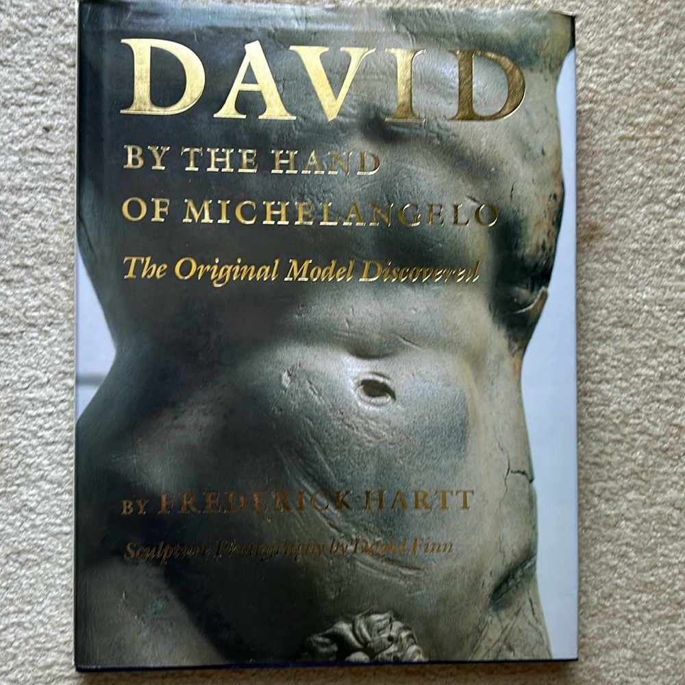 Hard copy David by the Hand of Michelangelo